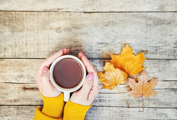 一杯の紅茶と居心地の良い秋の背景 選択と集中 ドリンク — ストック写真