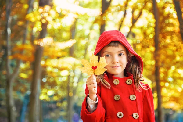 Ребенок Красном Пальто Осенними Листьями Люблю Осень Выборочный Фокус Природа — стоковое фото