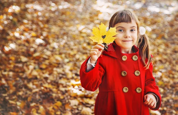 Niño Con Abrigo Rojo Con Hojas Otoño Amor Otoño Enfoque —  Fotos de Stock