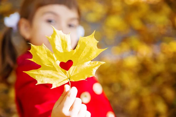 Niño Con Abrigo Rojo Con Hojas Otoño Amor Otoño Enfoque —  Fotos de Stock