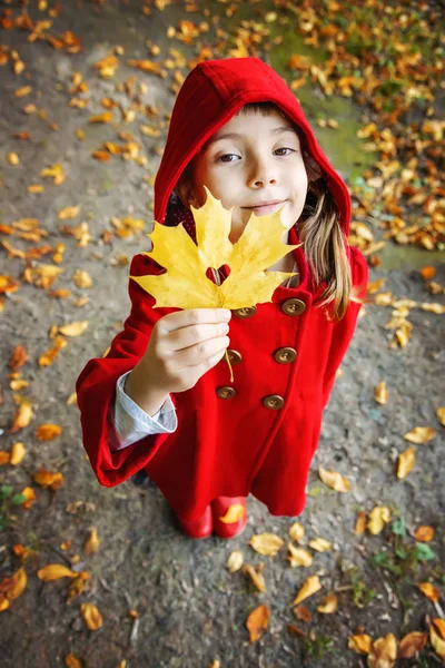 Niño Con Abrigo Rojo Con Hojas Otoño Amor Otoño Enfoque —  Fotos de Stock