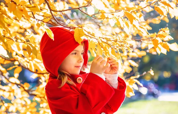 Niño Con Abrigo Rojo Con Hojas Otoño Amor Otoño Enfoque —  Fotos de Stock