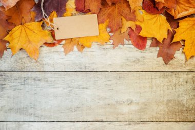sonbahar yaprakları ahşap arka plan üzerinde. Seçici odak. Doğa