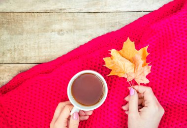 Bir fincan çay ve sıcak bir sonbahar arka plan. Seçici odak. içki.