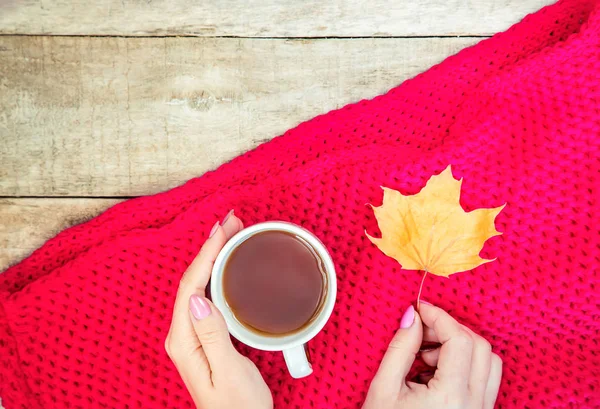 A cup of tea and a cozy autumn background. Selective focus. drink.