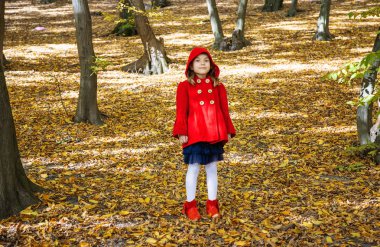 Çocuk sonbahar ile kırmızı paltolu bırakır. Sonbahar seviyorum. Seçici odak. Doğa.
