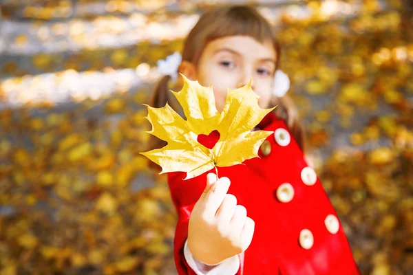 Niño Con Abrigo Rojo Con Hojas Otoño Amor Otoño Enfoque —  Fotos de Stock