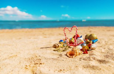 Kum üzerinde kabukları ile Noel arka plan sahilde. Seçici odak.