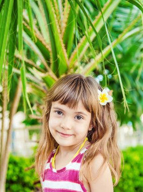 fon ve palmiye ağaçlarının karşı saçında plumeria çiçekli kız. Seçici odak. Doğa.