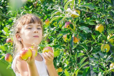 Çocuk çocuk bir elma ile. Seçici odak. Bahçe gıda