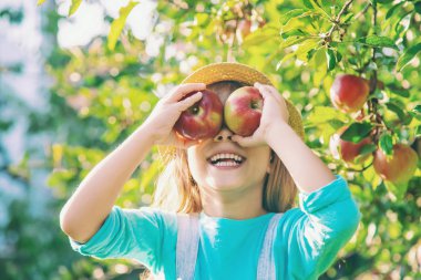 Çocuk çocuk bir elma ile. Seçici odak. Bahçe gıda