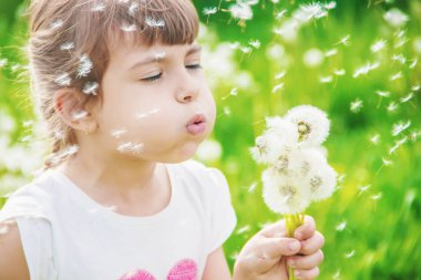 Dandelions hava üfleme kız. seçici odak.