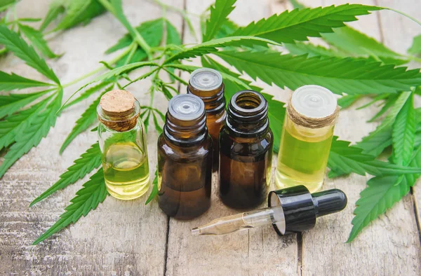 Hierba Cannabis Hojas Para Caldo Tratamiento Tintura Extracto Aceite Enfoque — Foto de Stock