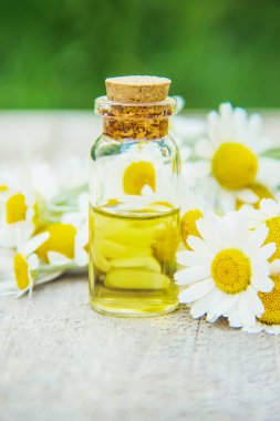 Küçük bir şişe içinde papatya özü. Seçici odak doğa.