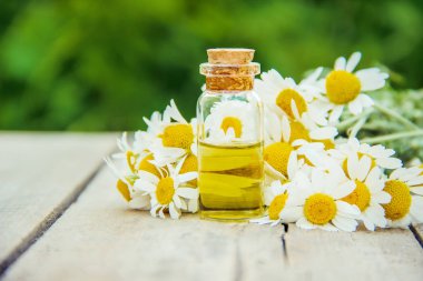 Küçük bir şişe içinde papatya özü. Seçici odak doğa.