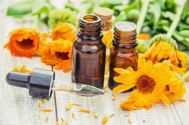 Calendula özü. Şifalı bitkiler. Seçici odak doğa