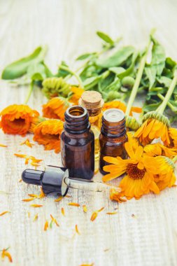 Calendula özü. Şifalı bitkiler. Seçici odak doğa