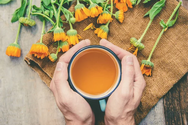 金盏花茶和花 选择性对焦 天然饮料 — 图库照片
