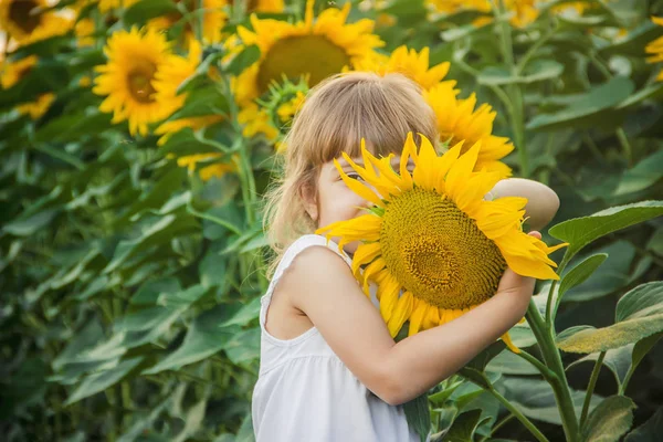 Kind Auf Dem Sonnenblumenfeld Ist Ein Kleinbauer Selektiver Fokus Natur — Stockfoto