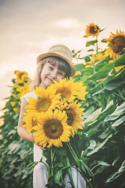 Niño Campo Los Girasoles Pequeño Agricultor Enfoque Selectivo Naturaleza —  Fotos de Stock