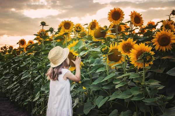 Niño Campo Los Girasoles Pequeño Agricultor Enfoque Selectivo Naturaleza —  Fotos de Stock