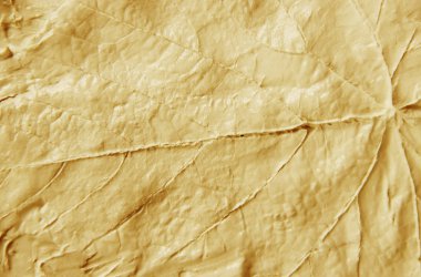 Çamur maskesi kil mineralleri Ölü Deniz'in ile. Doku. Seçici odak. Doğa.