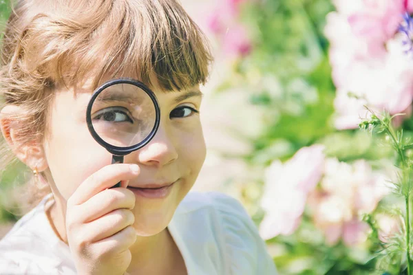 The child is looking in a magnifying glass. Increase. selective focus. — Stock Photo, Image