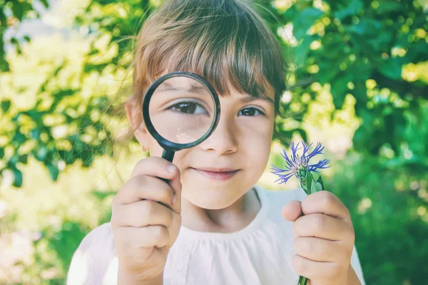 Das Kind schaut in ein Vergrößerungsglas. Zunahme. Selektiver Fokus. — Stockfoto