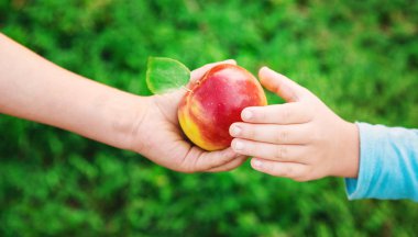 Çocuk bir elma. Seçici odak. Bahçe.