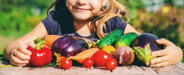 Anak dan sayuran di peternakan. Fokus selektif . — Stok Foto