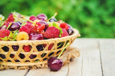 Çocuk bahçede kiraz topluyor. Seçici odak.