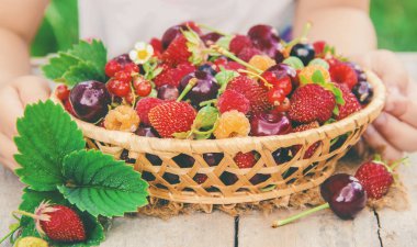 Çocuk bahçede kiraz topluyor. Seçici odak.