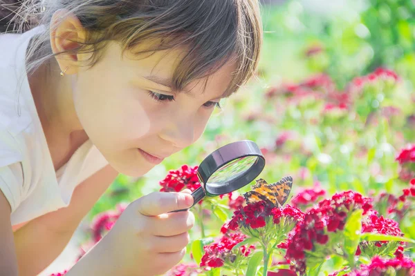 Guardi in una farfalla di lente d'ingrandimento si siede su fiori. focus selettivo. — Foto Stock