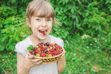 Çocuk bahçede kiraz topluyor. Seçici odak.