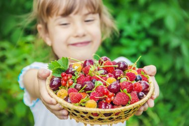 Çocuk bahçede kiraz topluyor. Seçici odak.