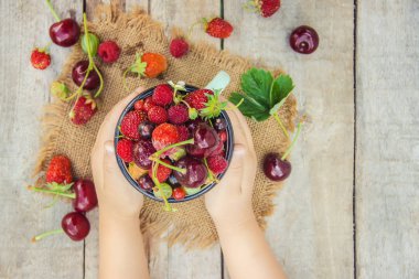 Çocuk bahçede kiraz topluyor. Seçici odak.