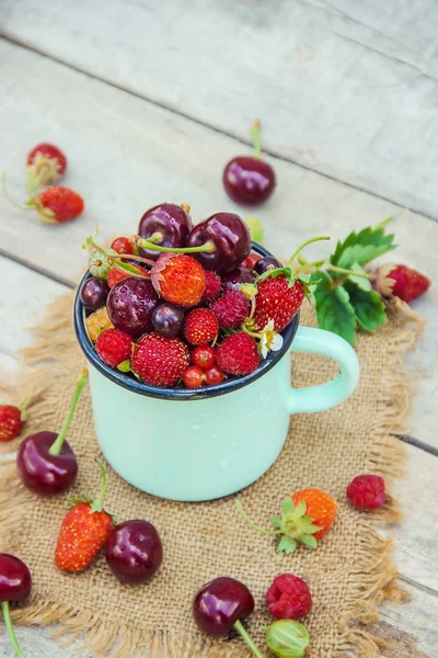 The child is picking cherries in the garden. Selective focus. — Stock Photo, Image