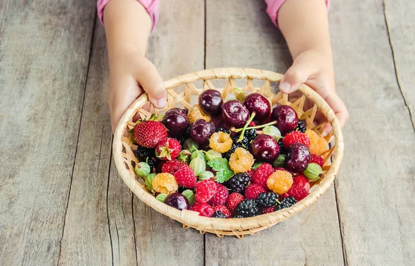 Het kind plukt kersen in de tuin. Selectieve focus. — Stockfoto