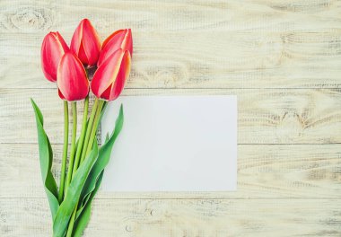 Tebrikler ve Lale hafif bir arka plan üzerinde. seçici odak.