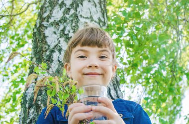 SAP bir çocuğun elinde huş ağacı. Seçici odak.