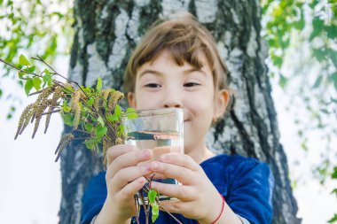SAP bir çocuğun elinde huş ağacı. Seçici odak.