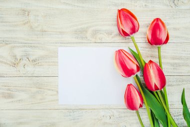 Tebrikler ve Lale hafif bir arka plan üzerinde. seçici odak.