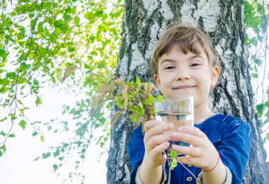 SAP bir çocuğun elinde huş ağacı. Seçici odak.