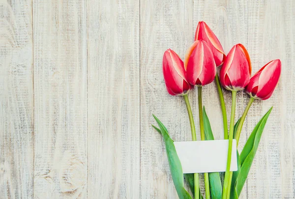 Las felicitaciones y los tulipanes sobre el fondo claro. enfoque selectivo . — Foto de Stock