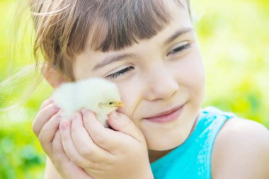Çocuk bir tavuk elinde tutar. Seçici odak.
