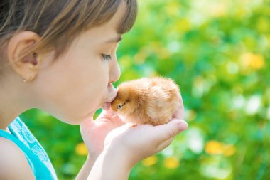 Çocuk bir tavuk elinde tutar. Seçici odak.
