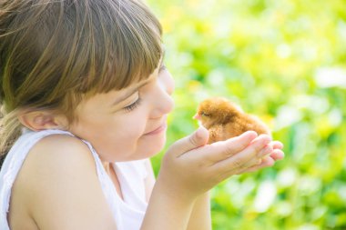 Çocuk bir tavuk elinde tutar. Seçici odak.