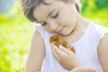 Çocuk bir tavuk elinde tutar. Seçici odak.