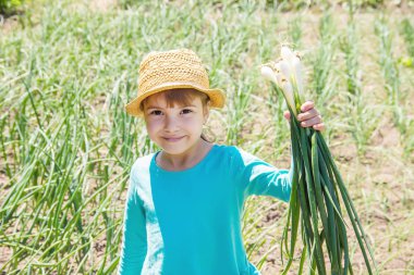 çocuk genç yeşil fiyonk tutuyor. seçici odak.