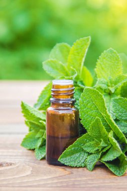 Küçük bir kavanoza nane özü. Seçici odak.